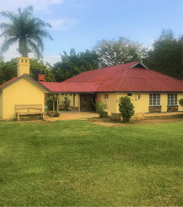 A yellow house with a red roof surrounded by greenery and a palm tree, sitting on a grassy lawn.